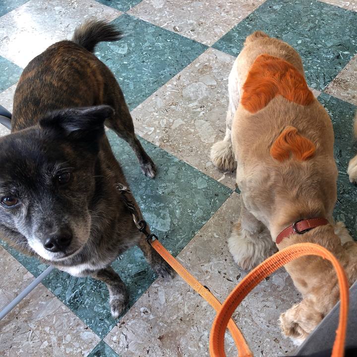 26d3f60f 3a0d 467a b1b8 9499f075718a 1611329804486