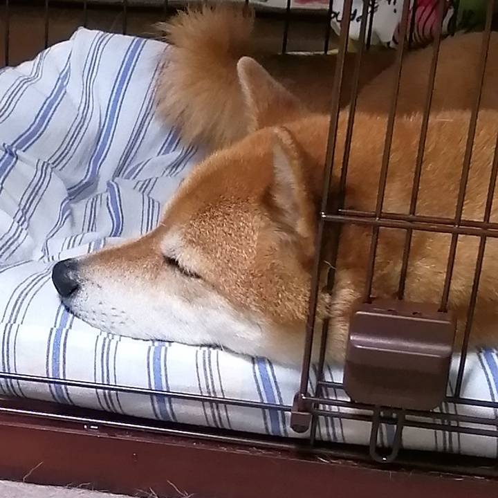 26d417af ac2e 460c 9c4c a6e4add2ba31 1660186181570