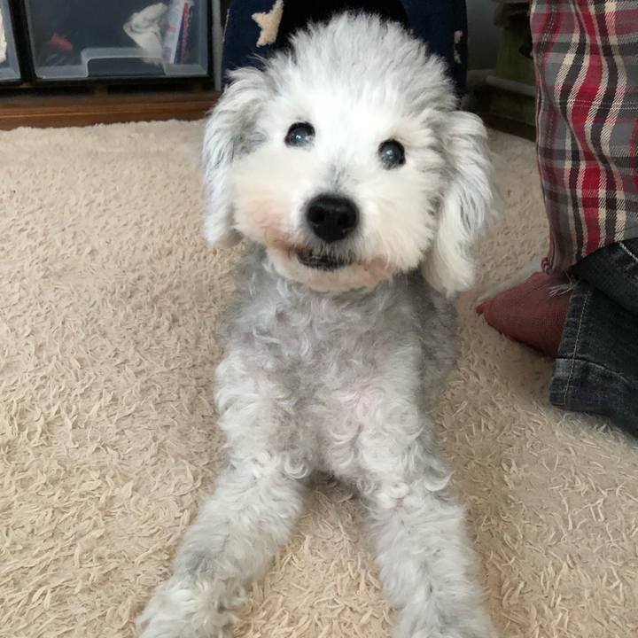 26d42640 482e 4822 ab18 f7071fad205b 1635942214256