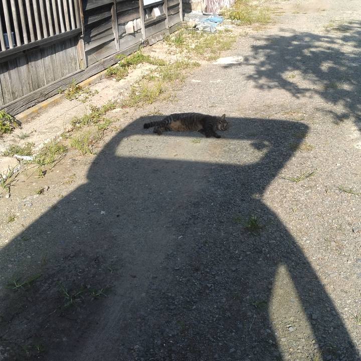 26d4cc2c fcf9 46b8 9afa 1f3f949467d9 1758012907114