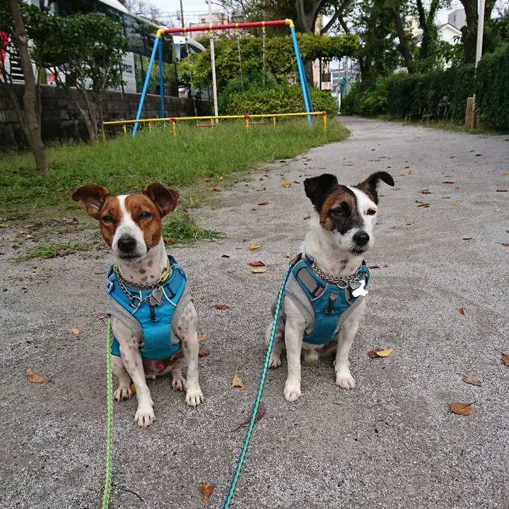 26d4e239 f558 4120 ad02 9f68f42b0a14 1603067044384