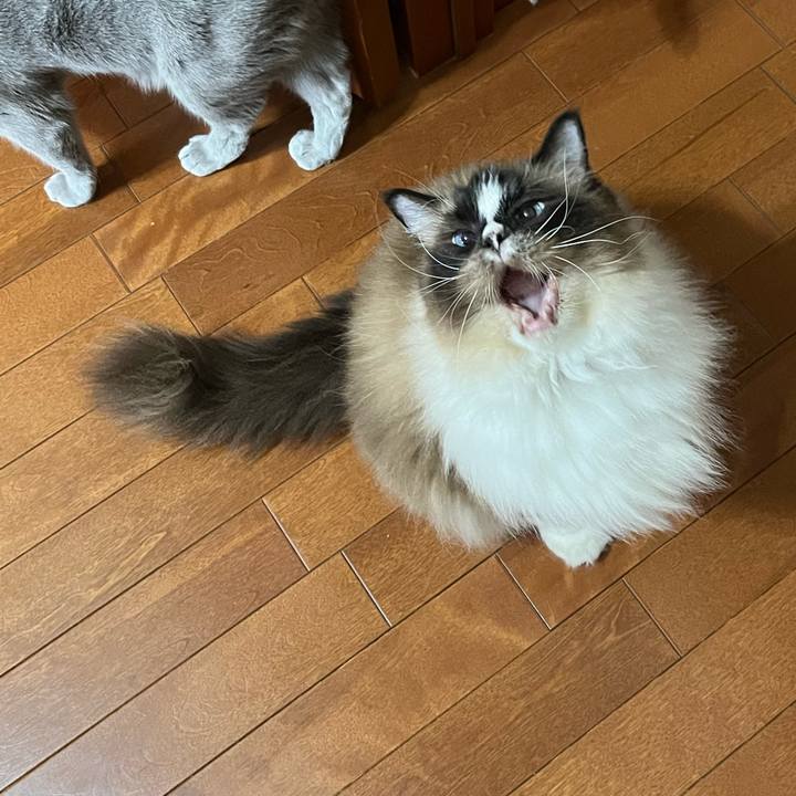 26d52951 75e5 4214 8f07 3ea042205a64 1720312846687