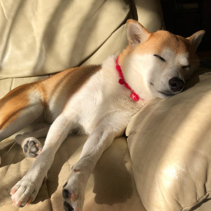 26d55436 9f01 4949 8c3d c6307a129028 1572997999322