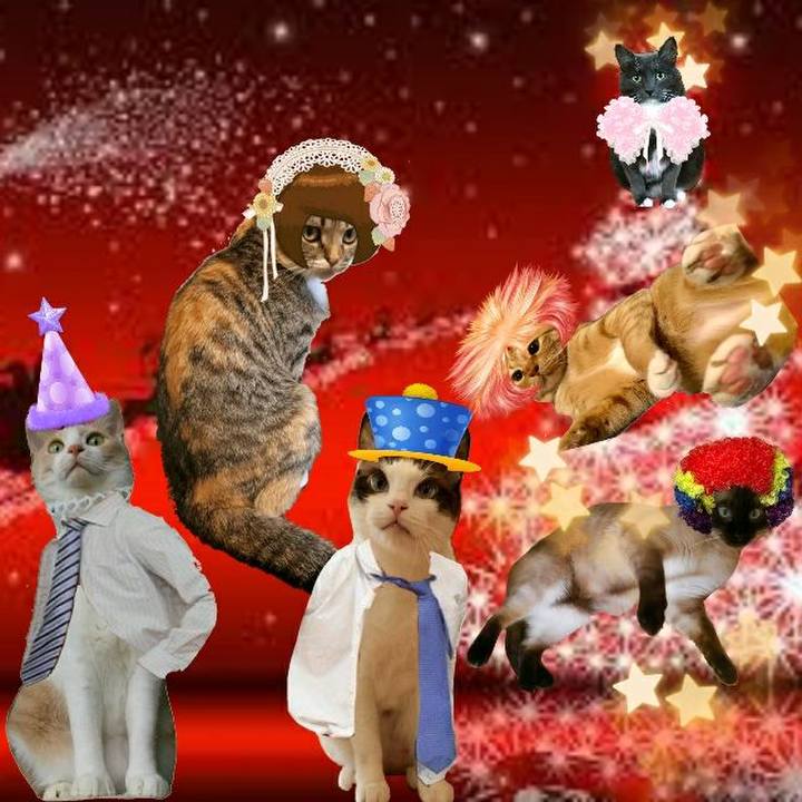 26d5671b 4e28 4b8f ad75 88d7b4aaa440 1544799914046