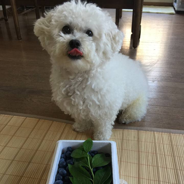 26d5ec6a d004 4f03 ac69 a660f72511ca 1529830650072