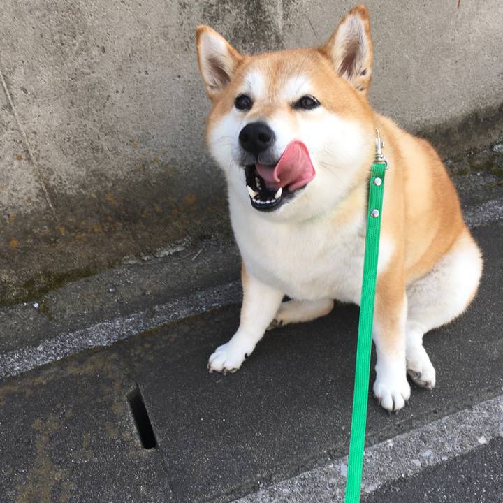 26d5f798 dca6 402e a39a fae4c737e24d 1598401303338