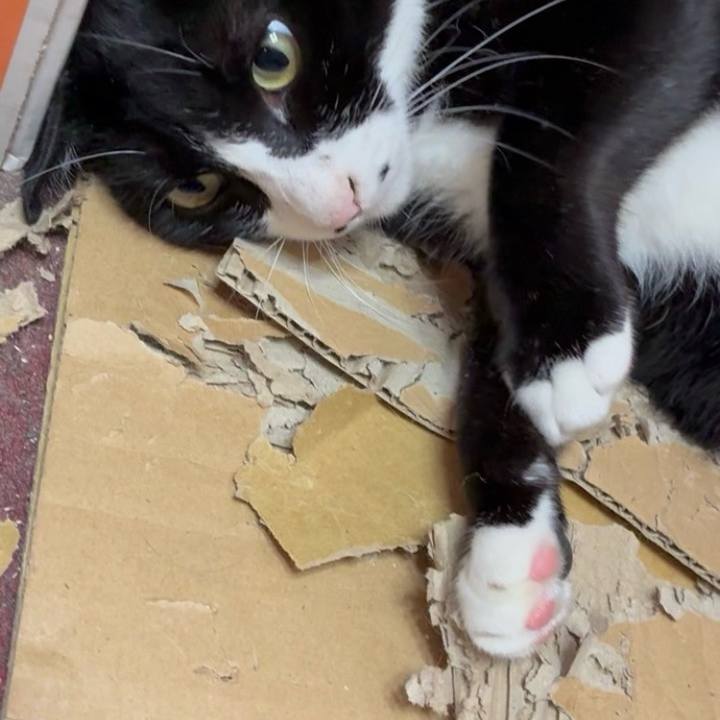 26d625de 39e0 4143 b83b 97672df6740c 1753238172890