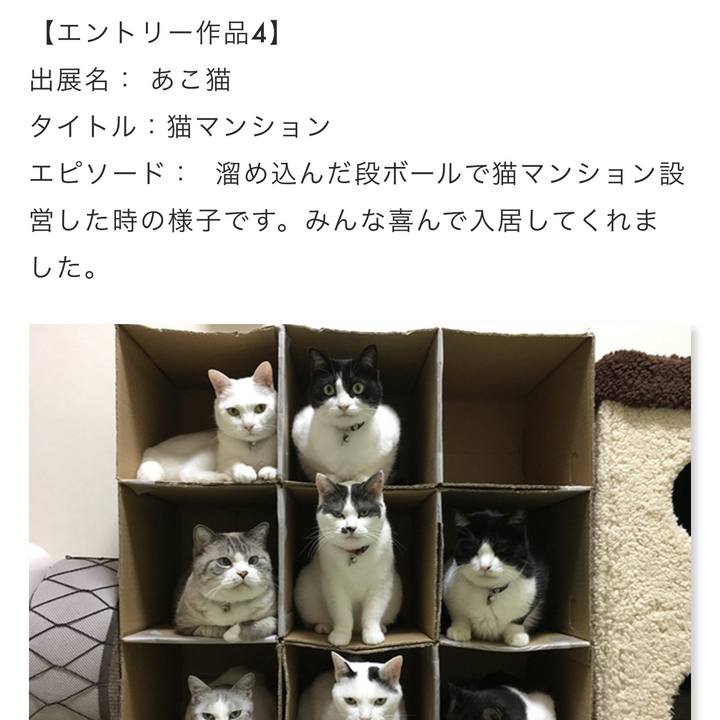 26d6323f 7123 45b5 a80c c9cd30b35011 1649118686825