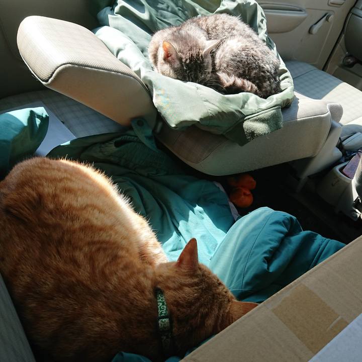 26d64f55 6dc2 4836 aeaf 2fe1a4107b5b 1583546178988