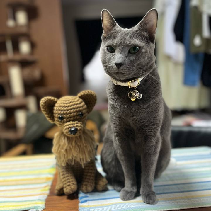 26d66867 85ee 4ca4 87ee ca7921f940ad 1687251667379