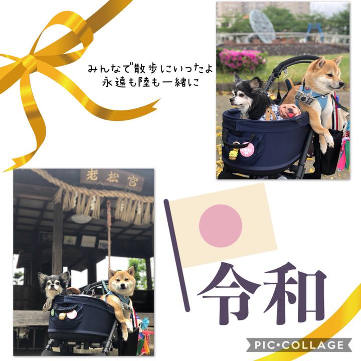 26d67567 8ed3 4d04 baec 4863ea674a83 1556684064399