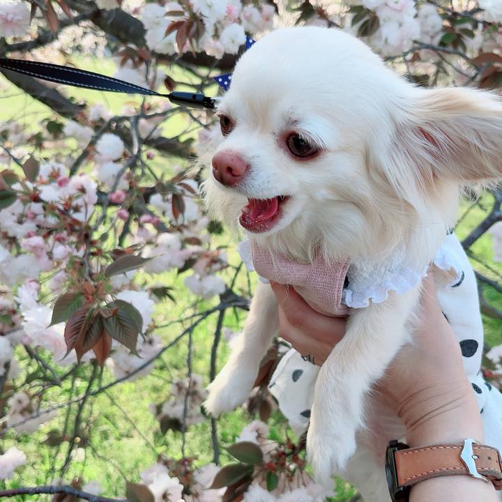 26d68883 5e70 49fa a20b 9d49d3d90d05 1713084240460