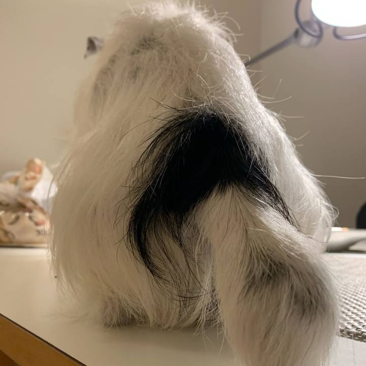 26d694ea 380a 47af b0e2 a6c473de1021 1616067527985