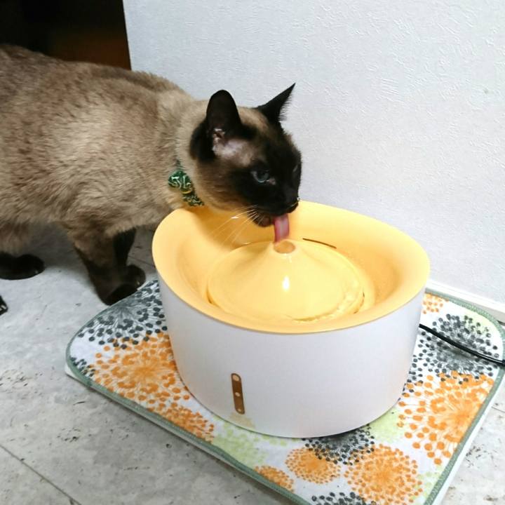 26d69b49 0e69 463c b0d8 d396b4793a0d 1522617383715