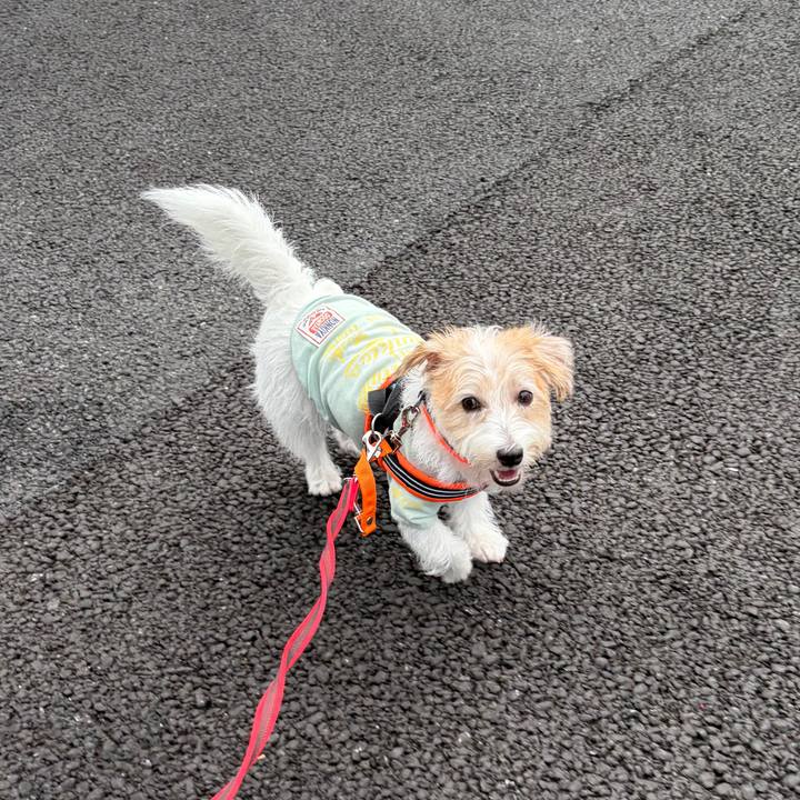 26d6ac9a 6360 489a 9bf5 7e181cf53510 1758408518824