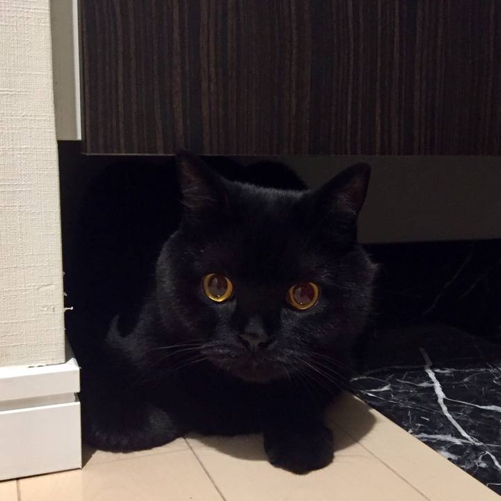 26d6f0eb 3920 43f4 9ed0 8df24aea81fb 1592997735857