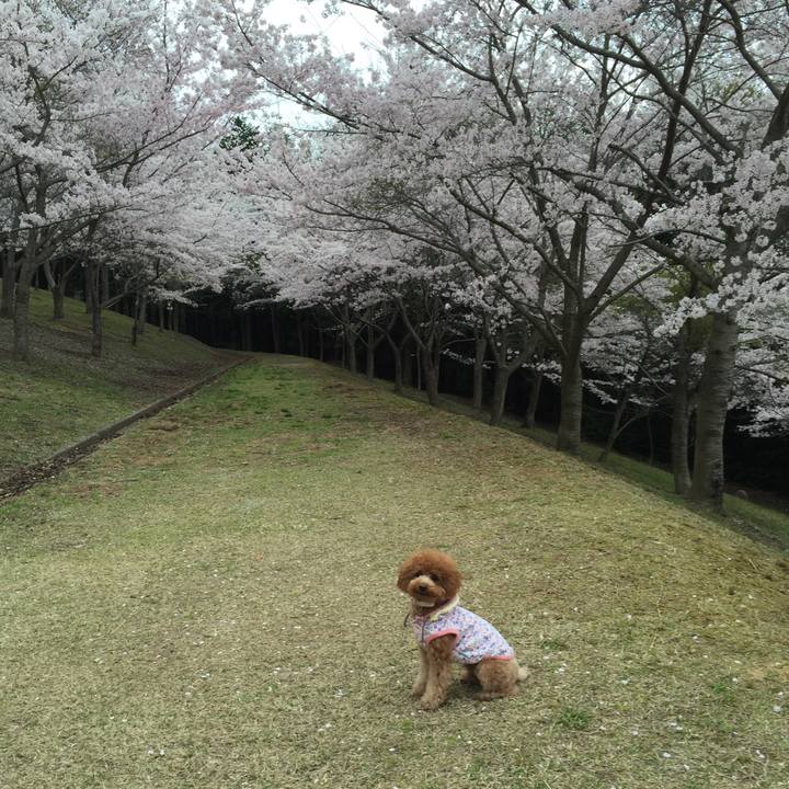 26d6fd46 ab70 4460 8139 4398d5d41687 1617363603110