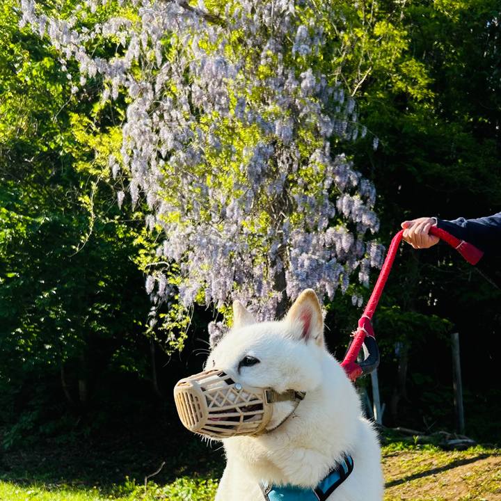 26d71a16 4430 40c3 8b9f 5b673494a525 1717364946421