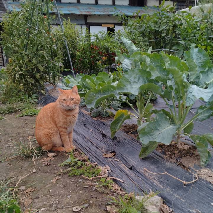 26d723e8 52bb 4570 a841 f7316ac313c5 1695423696380