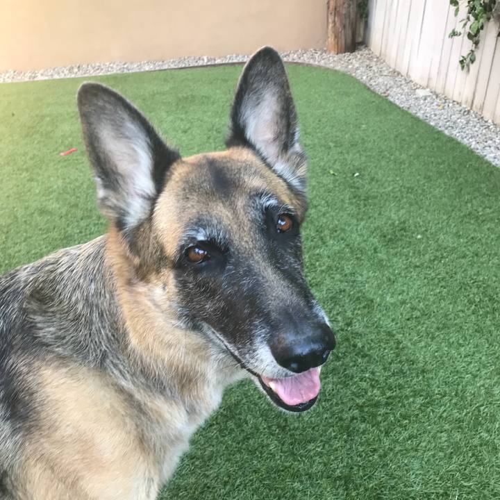 26d75608 208a 426d 8e35 46b45215963a 1512176821763