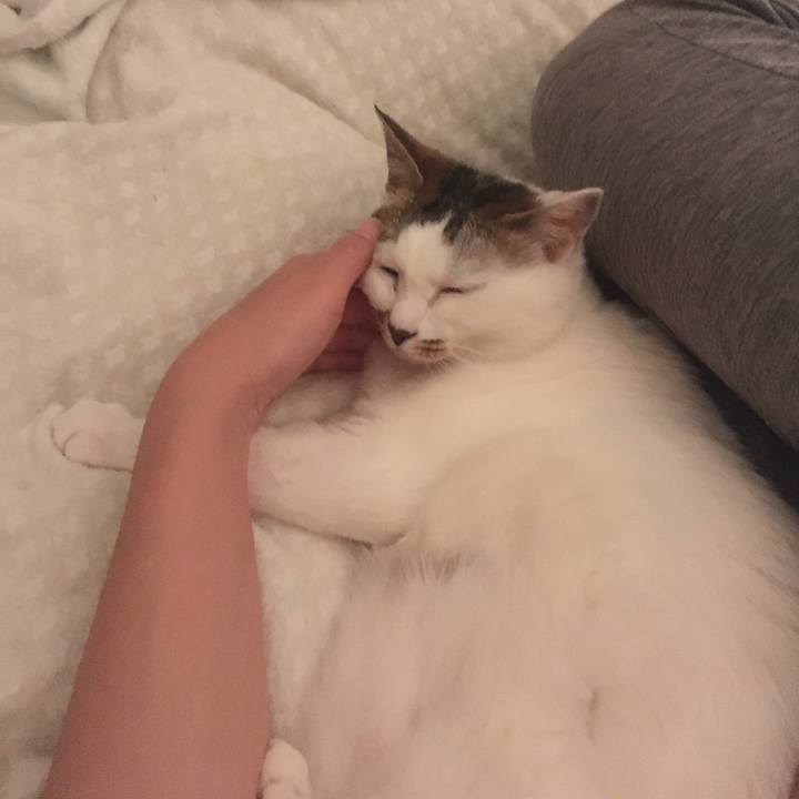 26d7561c 7542 47c4 8261 184c2e358952 1622291468985