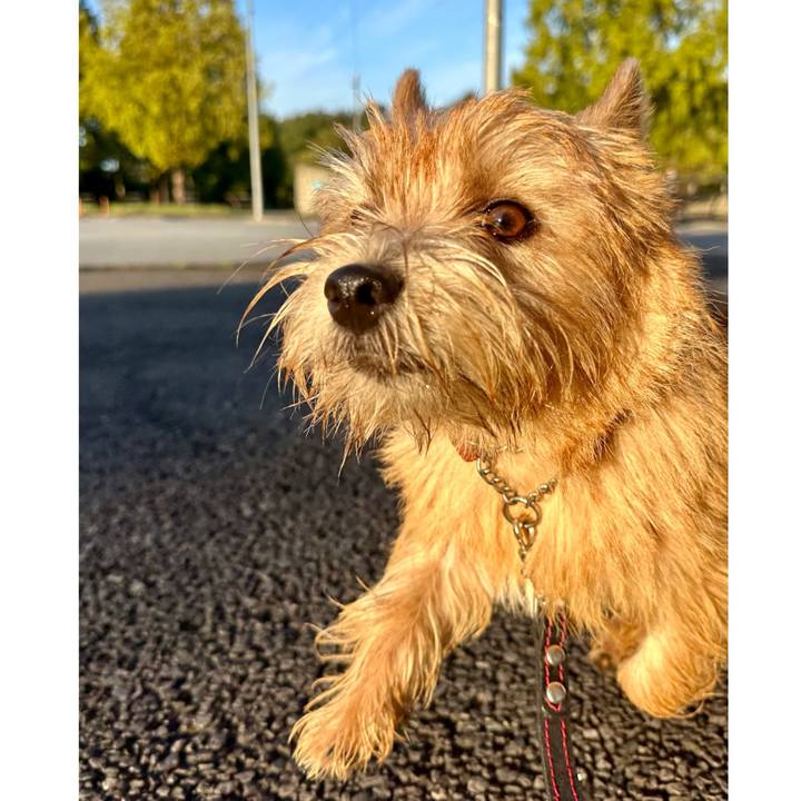 26d75852 736a 4377 b4fb c44d67dd82e7 1728650146514