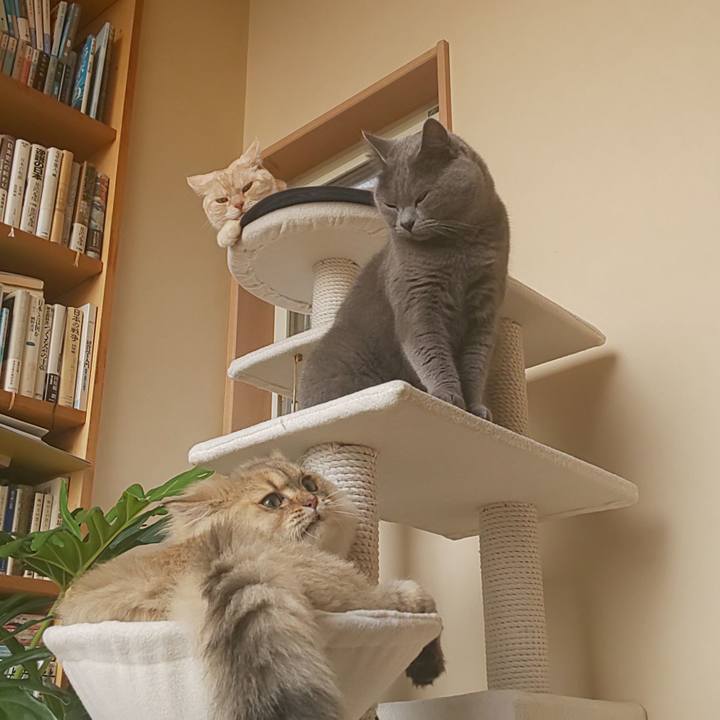 26d784a6 b967 4725 a7f5 e007c84ad300 1571102821760