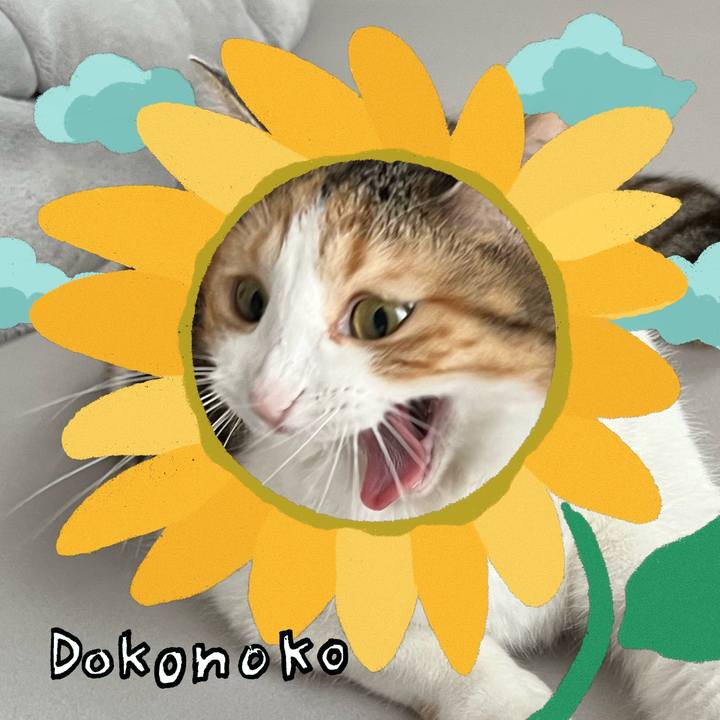 26d78772 36c8 4ae2 bacf 786dae1767f3 1723261024330
