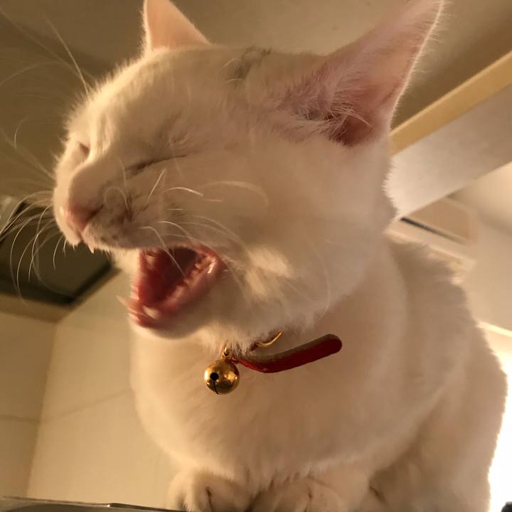 26d7a083 9e76 425d 9673 dbe579267721 1521039825524