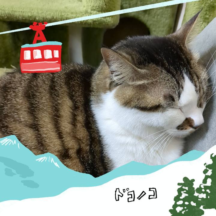 26d7a1a0 1a2f 4caa acfa 12bce3edddae 1707122720573