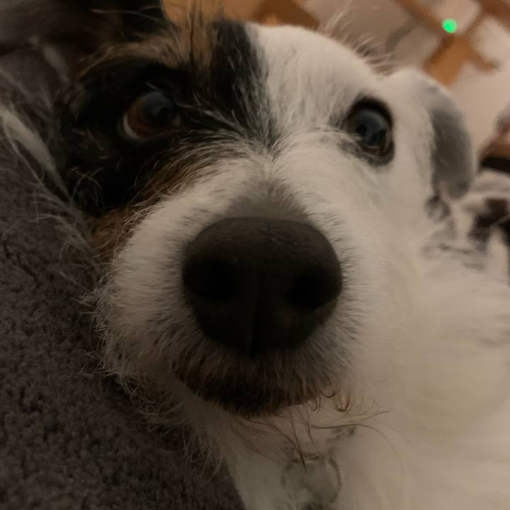 26d7dca1 af42 4f06 aa87 c7a3079b96e3 1713878494554