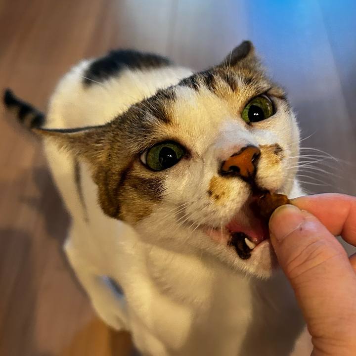 26d7eacf 76f4 4b78 a971 4188e46451fa 1762213096864