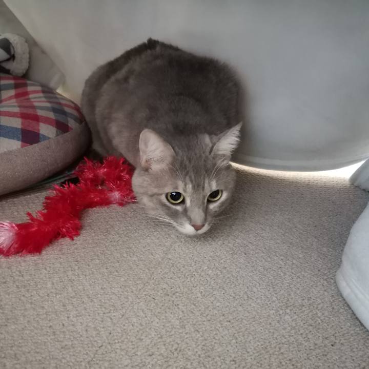 26d852f9 07ae 4e81 a742 ecc01d2775c3 1606119150401