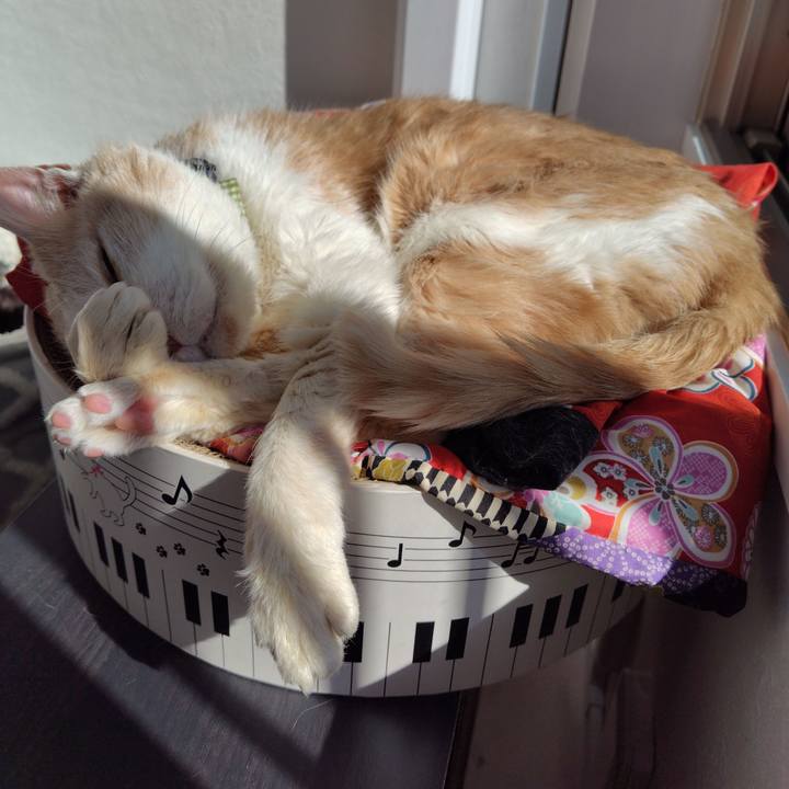 26d87d95 a5f9 4125 84af c96edcaf48a0 1739507671212