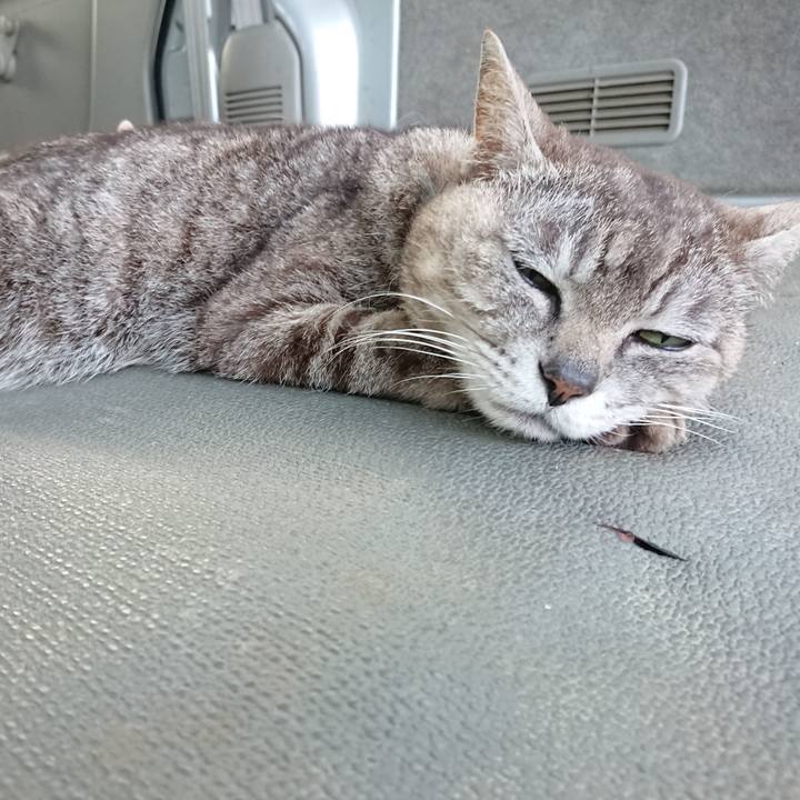 26d88198 50db 45c7 8581 a7d07071f0db 1561714819067