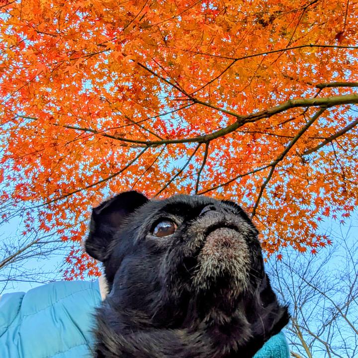 26d887d5 b2ef 475d 9172 04d376bb1a08 1765371076348