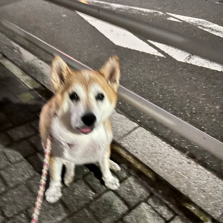 26d8a00c 76ea 4b2e 9529 41b2424fec1d 1758792057929