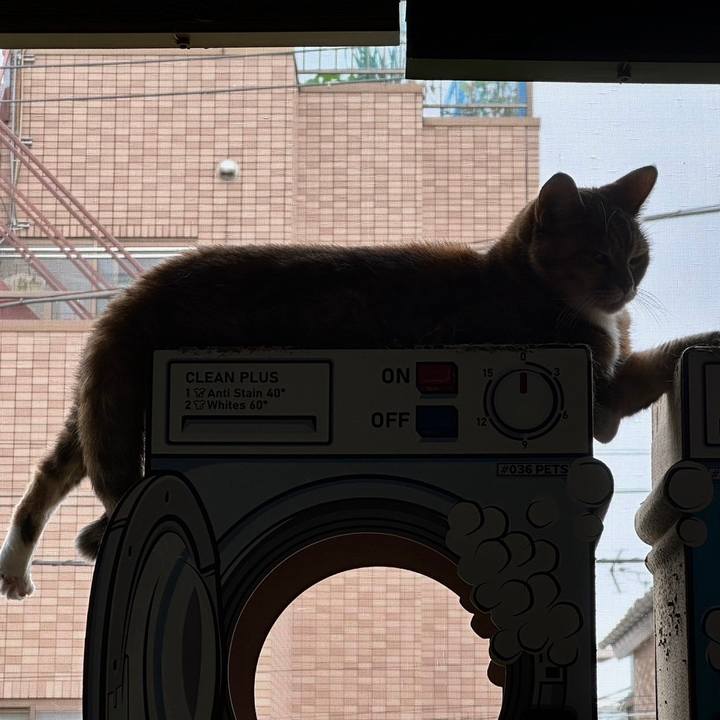 26d906fa 3d29 422e 9388 ba36b9107b7e 1721017773742