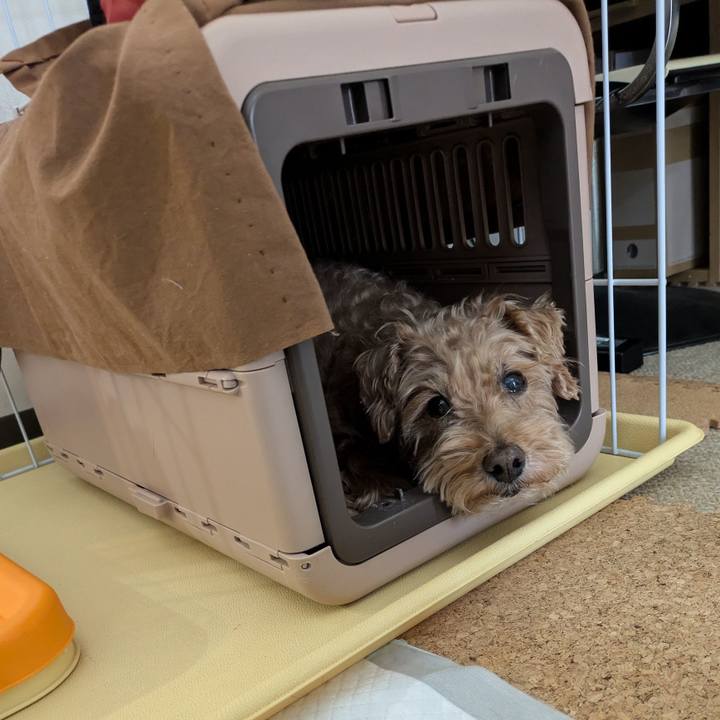 26d924df 82bb 4791 8349 5dd5e438d6eb 1772839124249