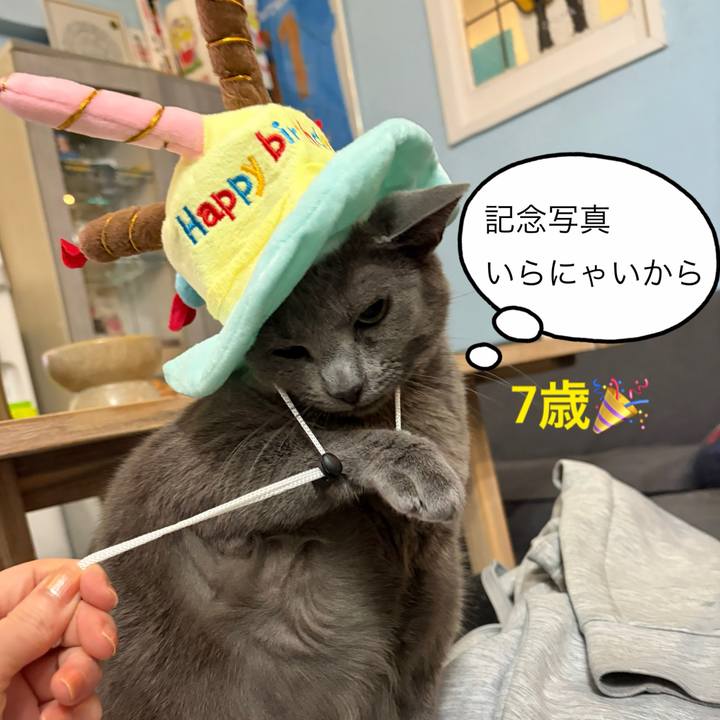 26d94744 92ca 4559 9d04 02a1db2a8cb5 1776165144520