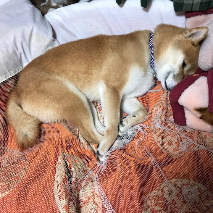 26d9605c 5e3d 4a1d 9ff2 466f44038b37 1553855981176