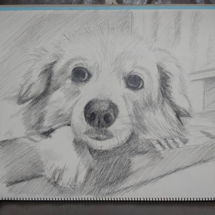 26d974c5 3db4 4afa 9e19 ff96137e05f7 1645539405344