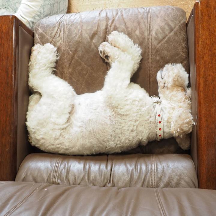 26d992f3 adf2 4d34 bc88 af017657546c 1593439986904