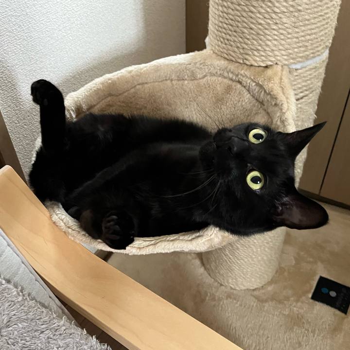 26d9a1bc 064b 4279 8fe6 5899713b71ee 1719454138763