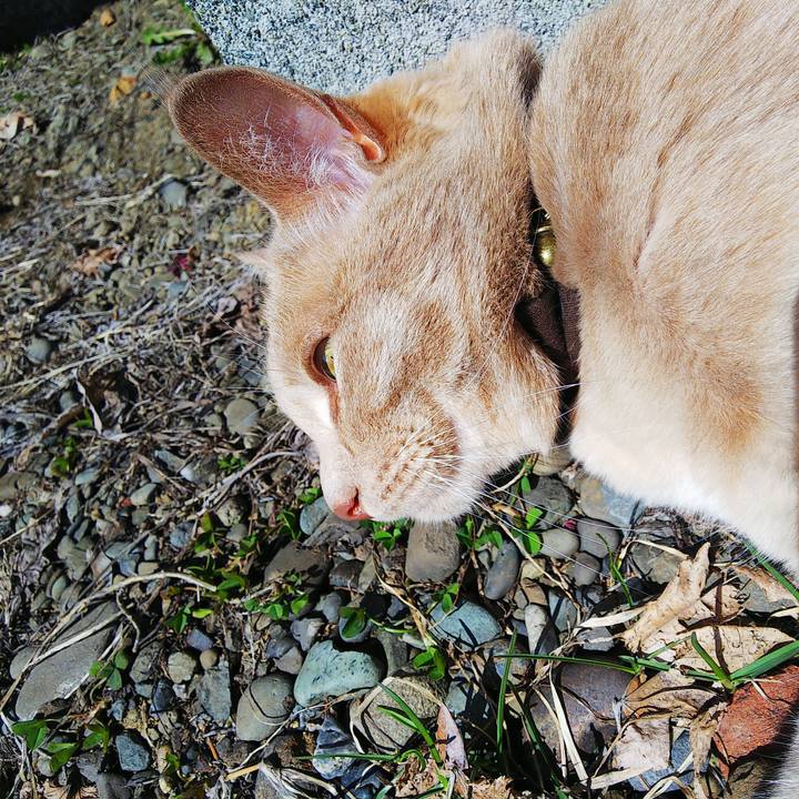 26d9c531 8f2a 4295 9346 55a4e563a304 1618022546189