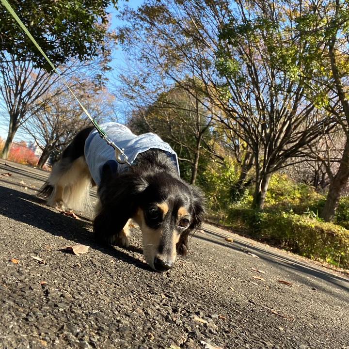 26da020d 5152 4119 b779 e67a6ecdac66 1732254622699