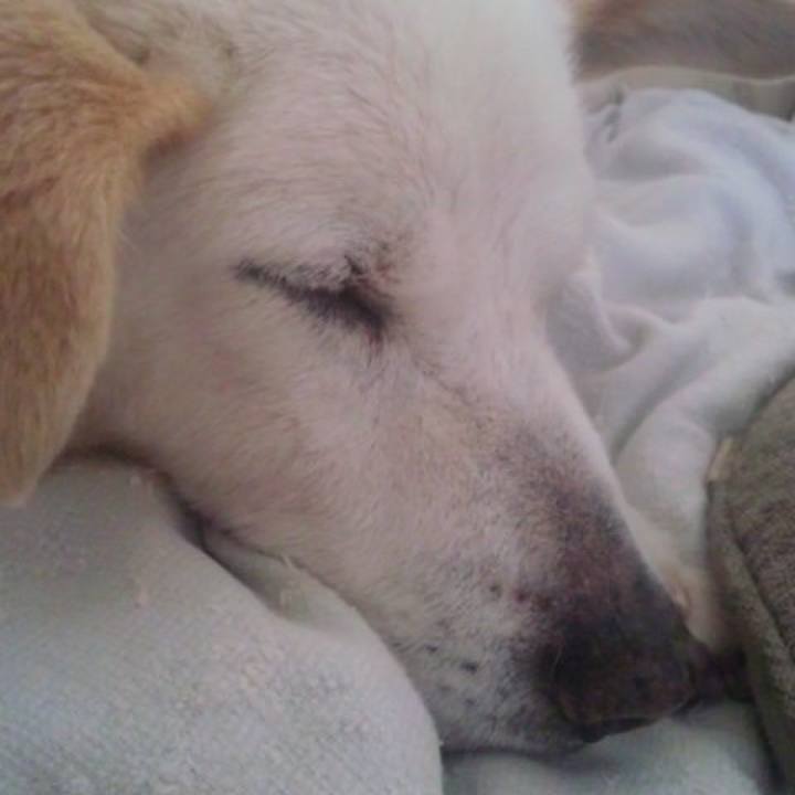 26da0889 79f3 47f5 8e52 59474382be12 1518494506909