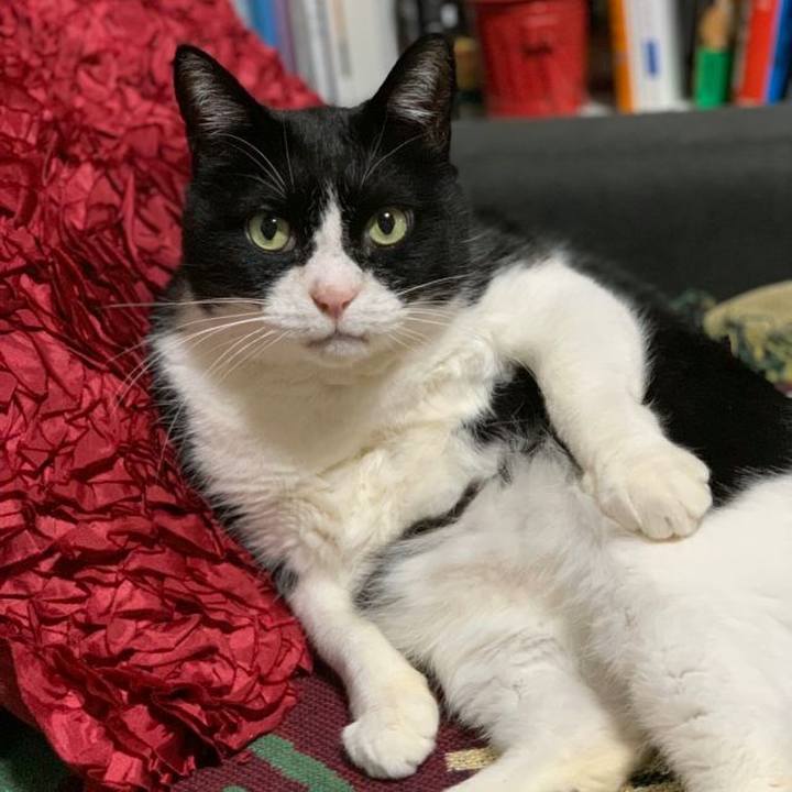 26da10d9 94a6 458b a42f d1b7e616367d 1601901000750