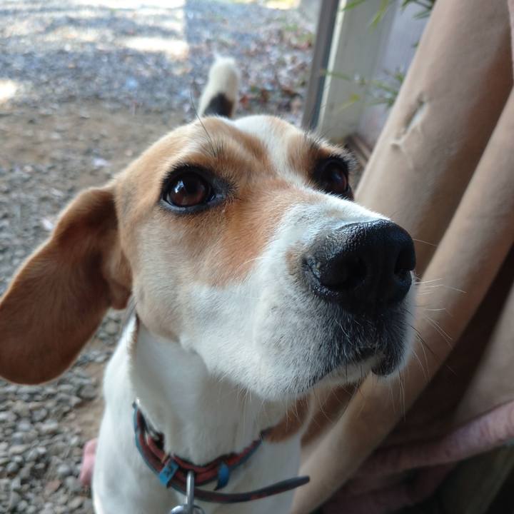 26da20a0 6949 40b7 8d54 3e842782f6c0 1606359430971