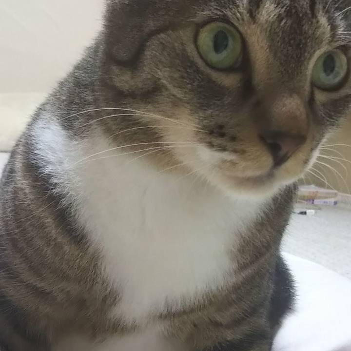 26da2c7c a50c 4180 a481 5abd3aad3472 1613061211564